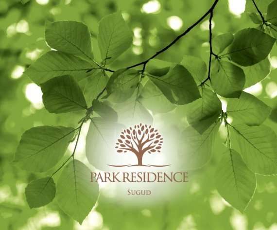 Portfolios Archive - Sabah Web Design